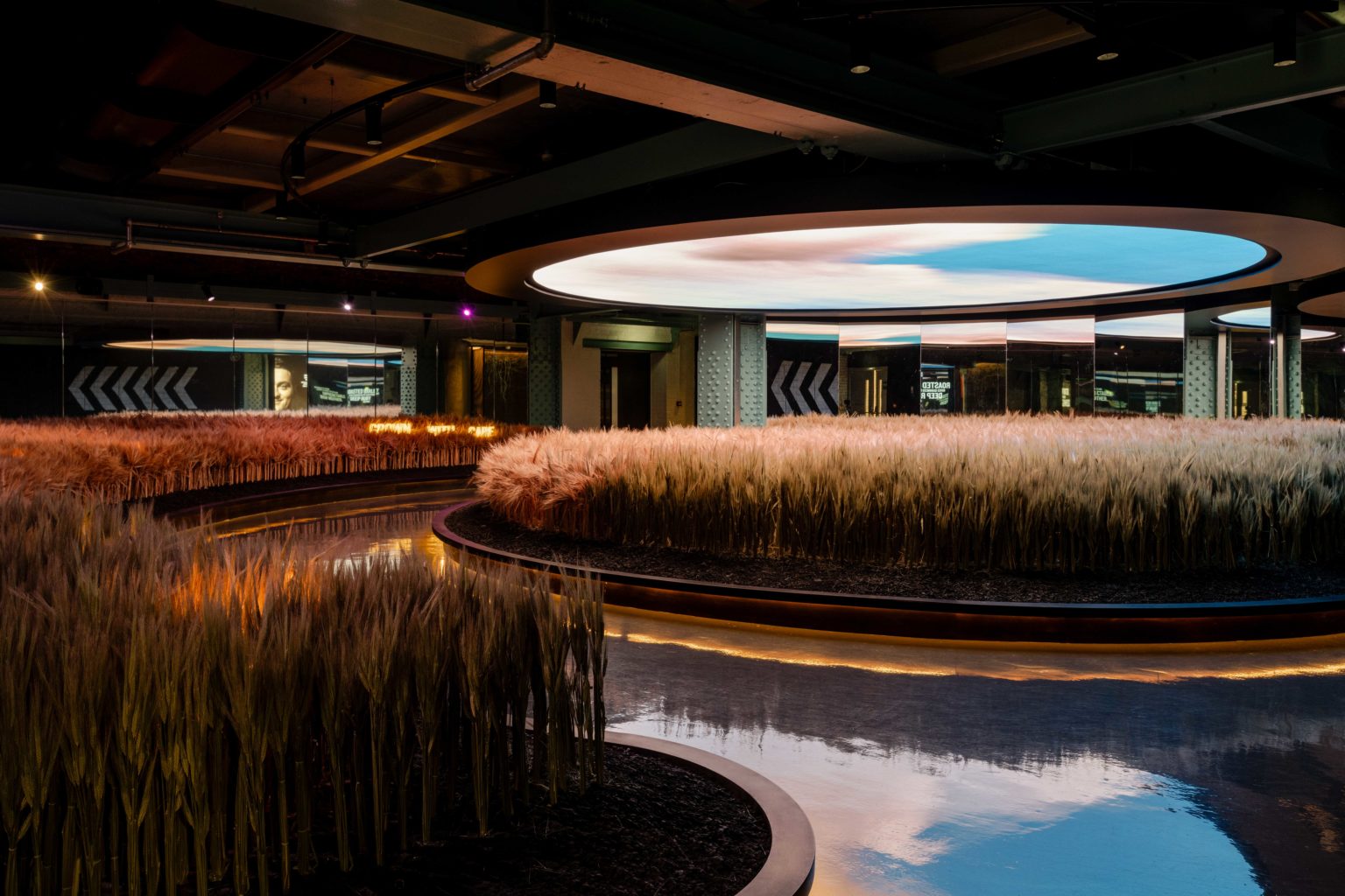 Michael Grubb Studio - Ingredients at Guinness Storehouse | Dublin, Ireland